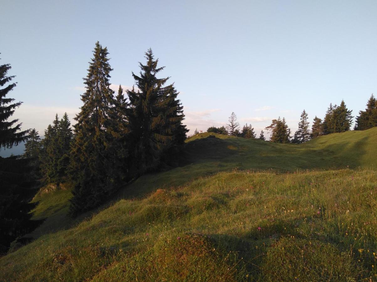Willa Leitnerhof Niederau Zewnętrze zdjęcie
